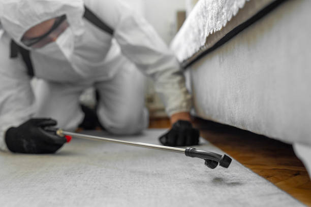 Professional Cockroach Control technician working in Laurel Lake, NJ