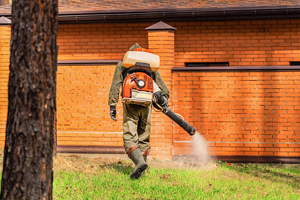 Trusted Rodent Control service in Laurel Lake, NJ - Nex Pest Control